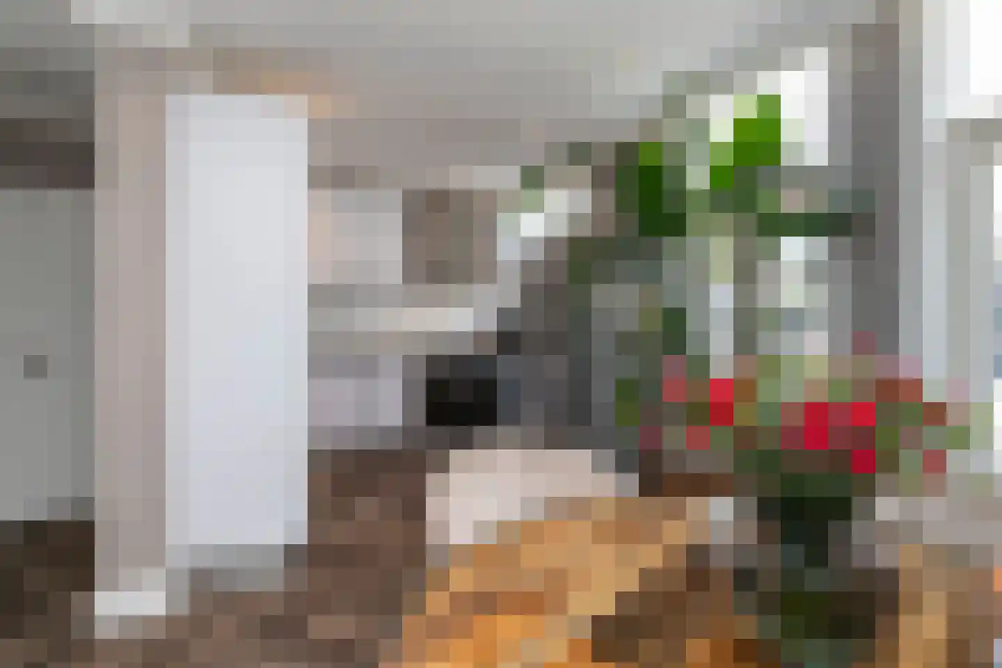 Sinjeur Semeynsweg 321 Den Haag thumbnail 14