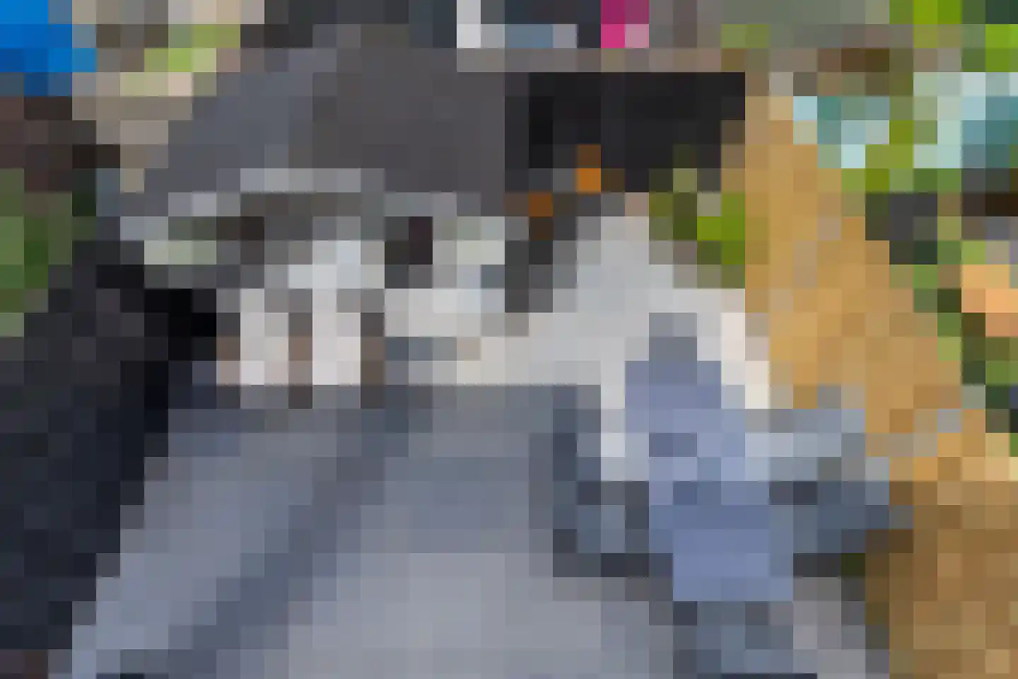 Sinjeur Semeynsweg 321 Den Haag thumbnail 20