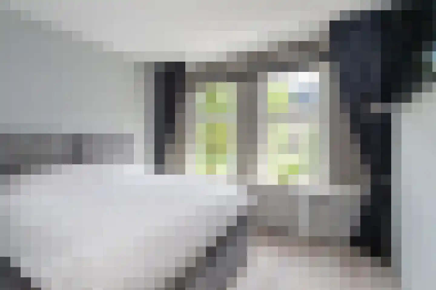 Sinjeur Semeynsweg 321 Den Haag thumbnail 21