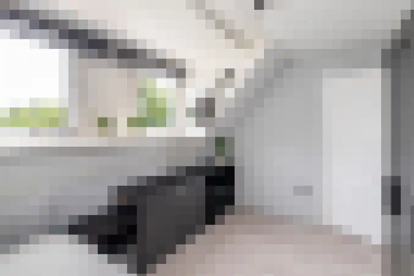 Sinjeur Semeynsweg 321 Den Haag thumbnail 32