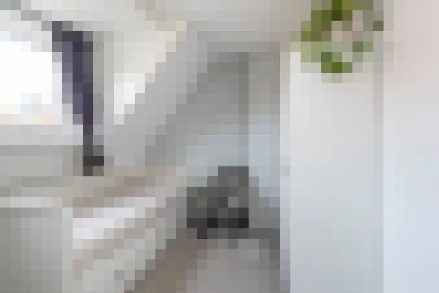 Sinjeur Semeynsweg 321 Den Haag thumbnail 33