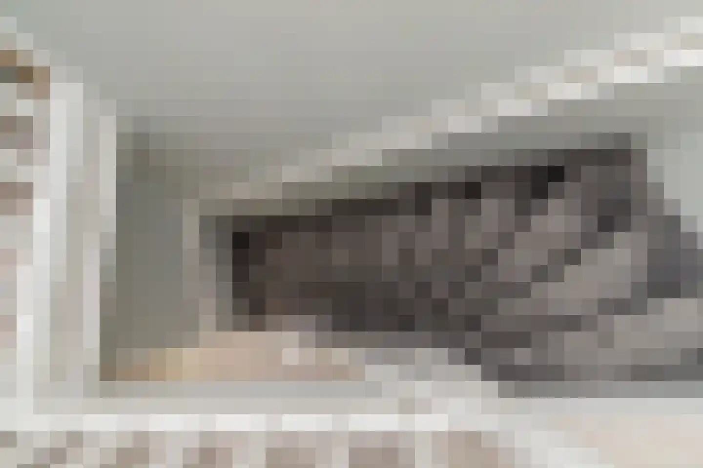 Sinjeur Semeynsweg 321 Den Haag thumbnail 37