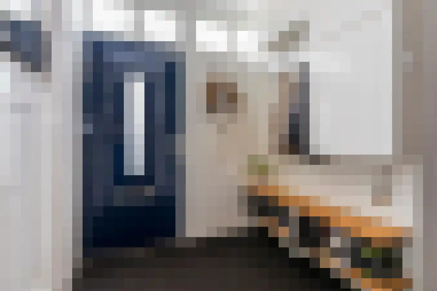 Sinjeur Semeynsweg 321 Den Haag thumbnail 41