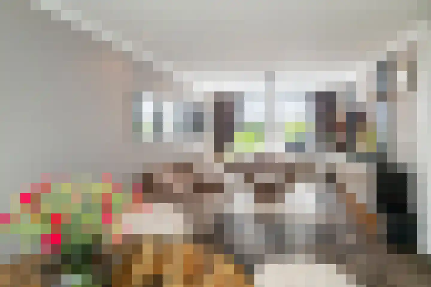 Sinjeur Semeynsweg 321 Den Haag thumbnail 9