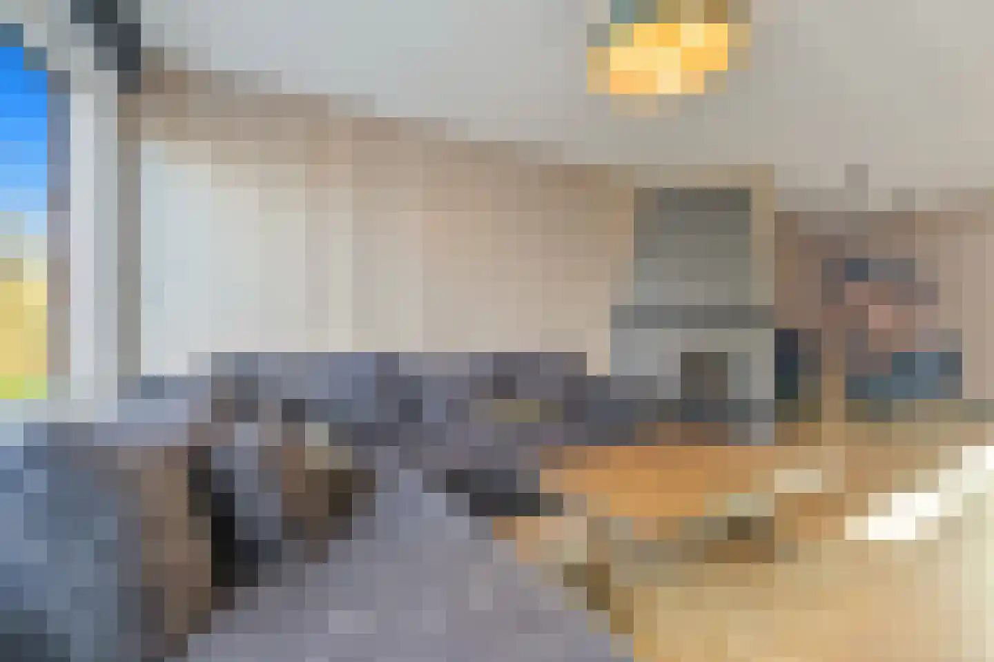 Sinjeur Semeynsweg 5 Den Haag thumbnail 10