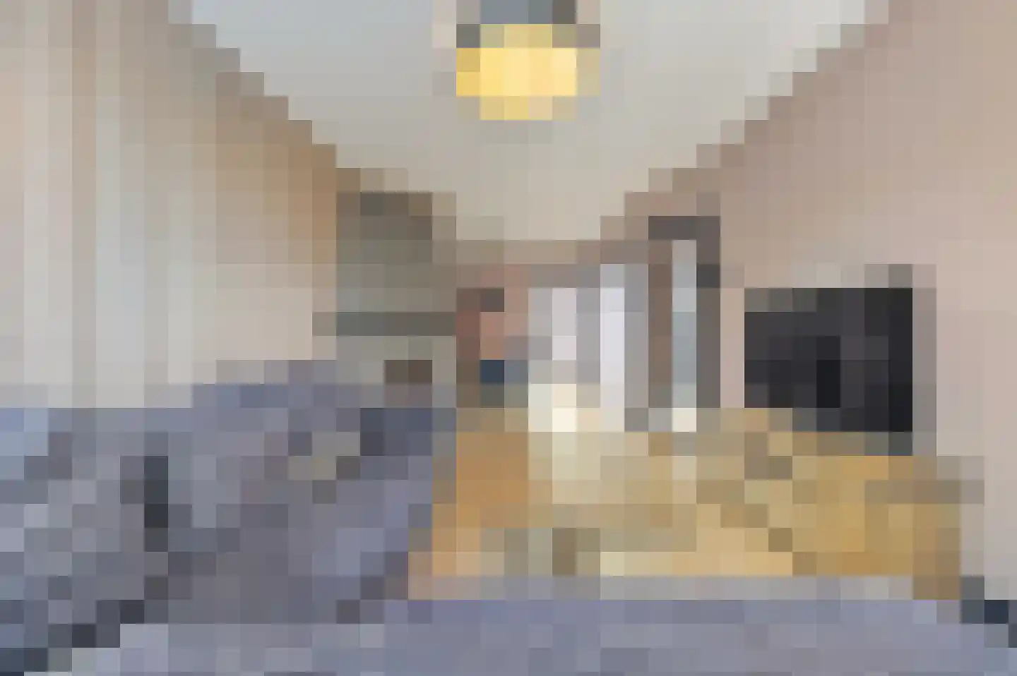 Sinjeur Semeynsweg 5 Den Haag thumbnail 12
