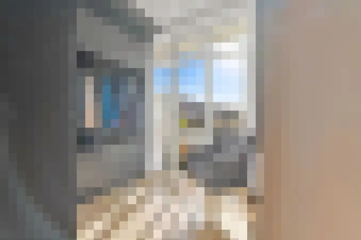 Sinjeur Semeynsweg 5 Den Haag thumbnail 16