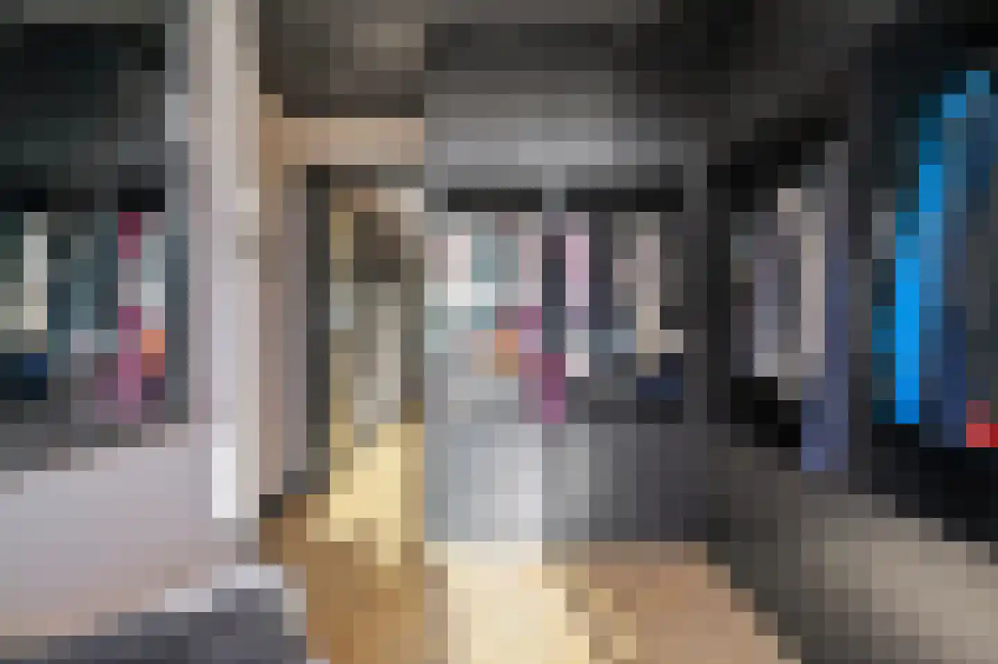 Sinjeur Semeynsweg 5 Den Haag thumbnail 17