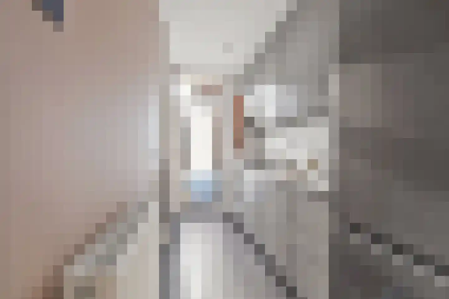 Sinjeur Semeynsweg 5 Den Haag thumbnail 18