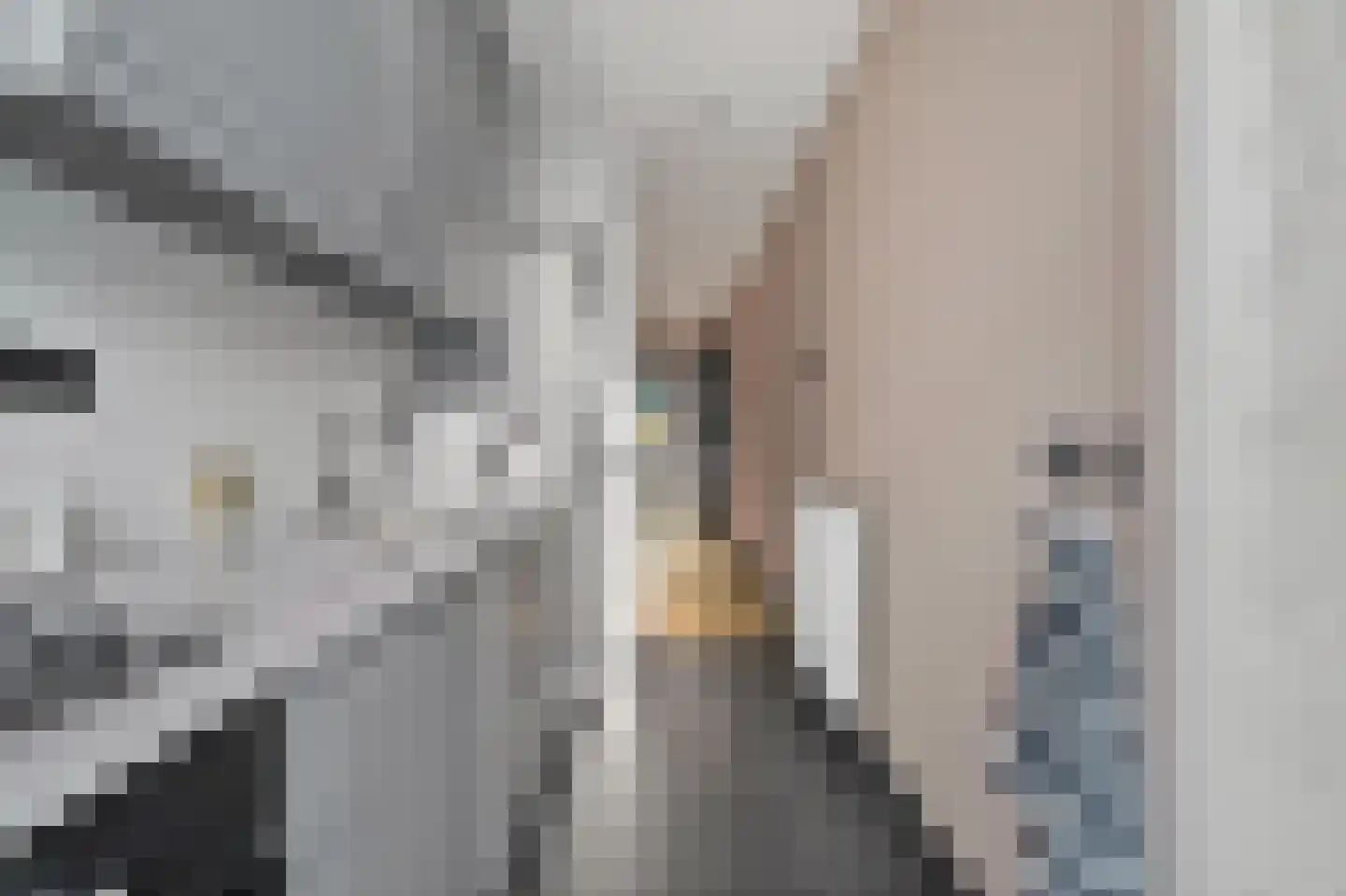 Sinjeur Semeynsweg 5 Den Haag thumbnail 19