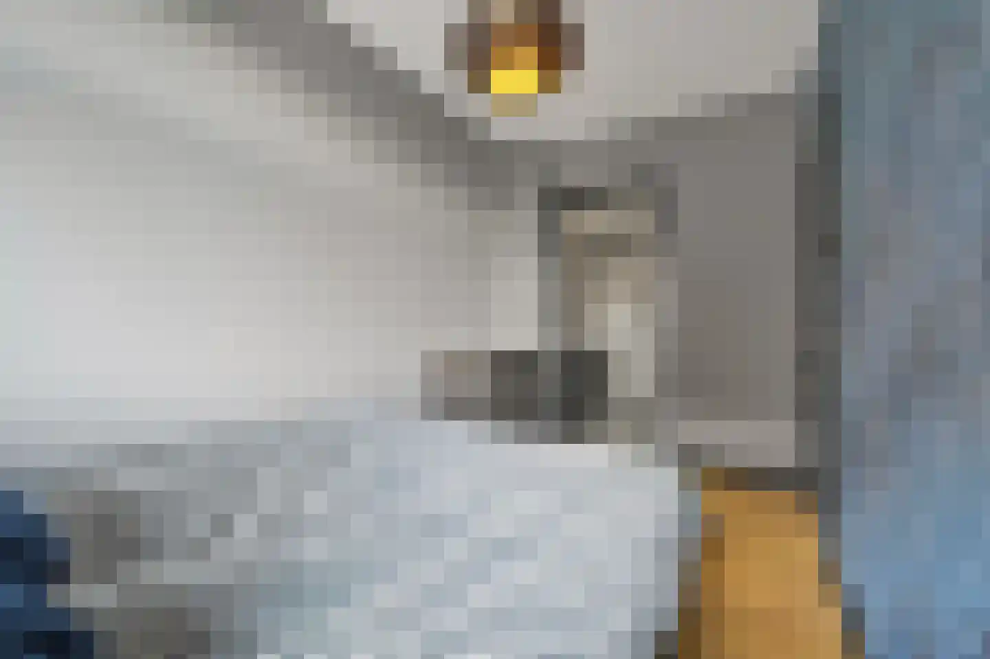 Sinjeur Semeynsweg 5 Den Haag thumbnail 23