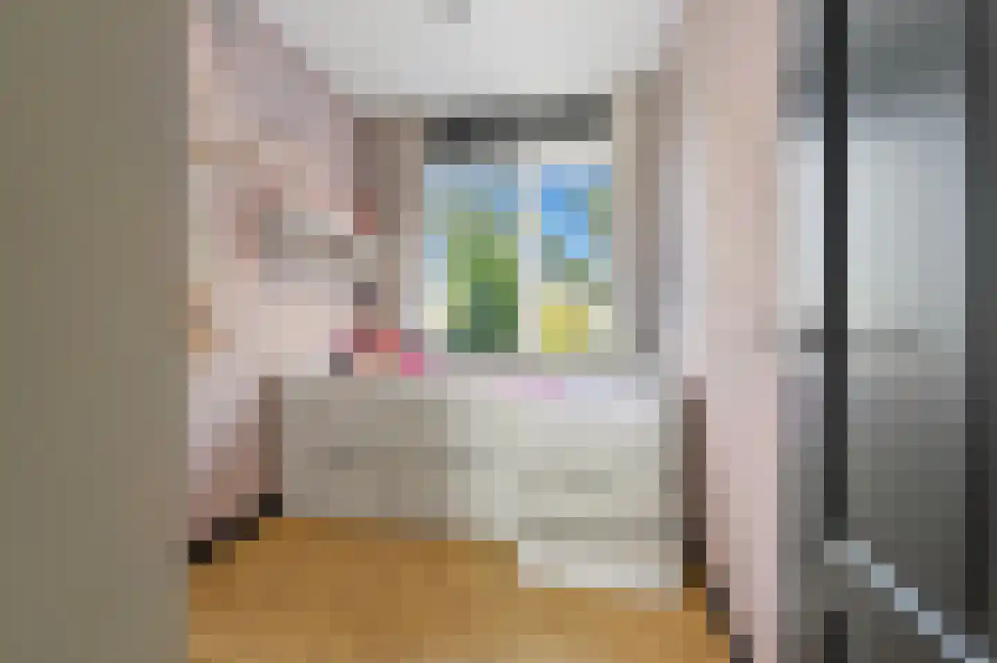 Sinjeur Semeynsweg 5 Den Haag thumbnail 6