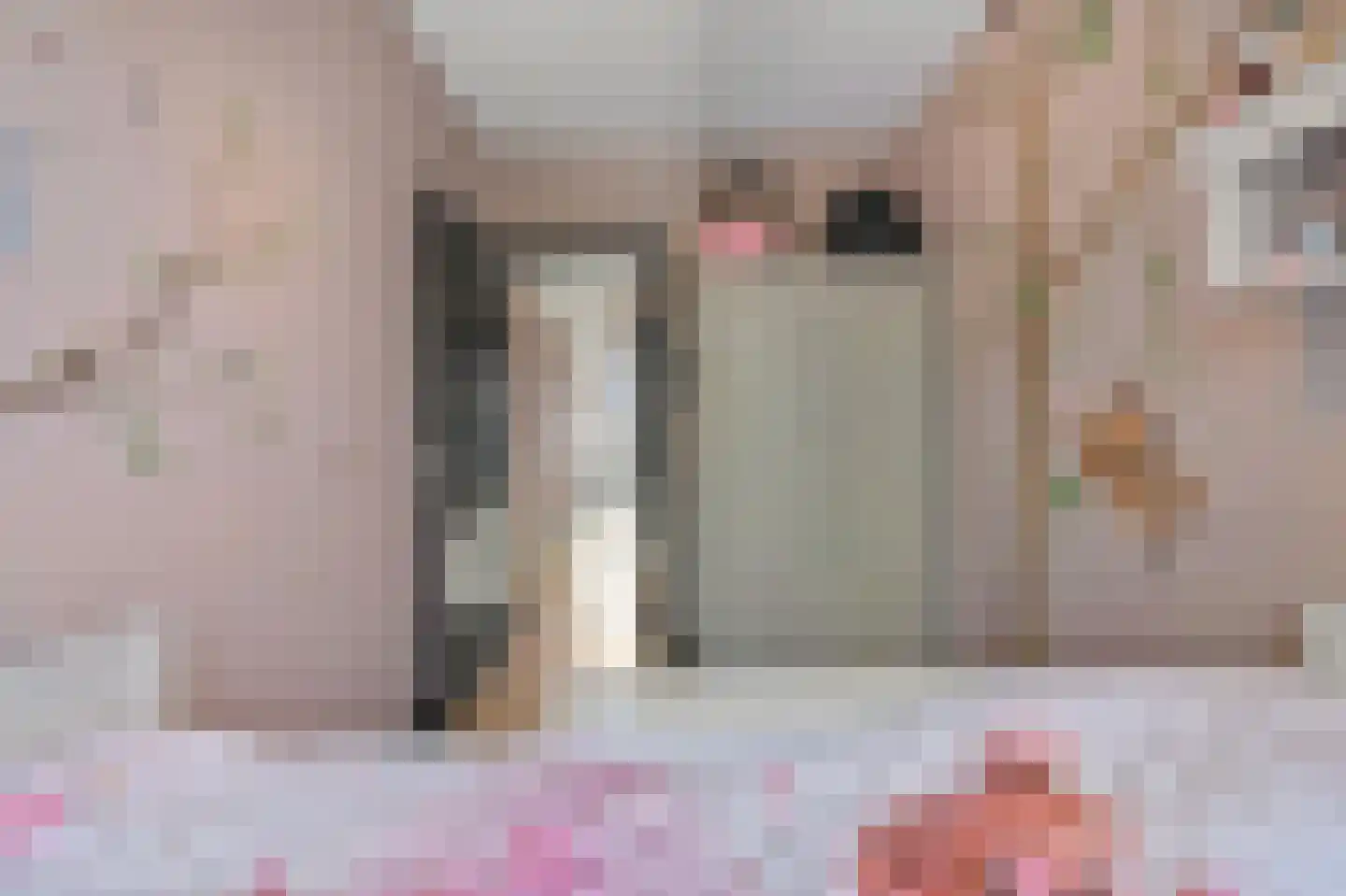 Sinjeur Semeynsweg 5 Den Haag thumbnail 7