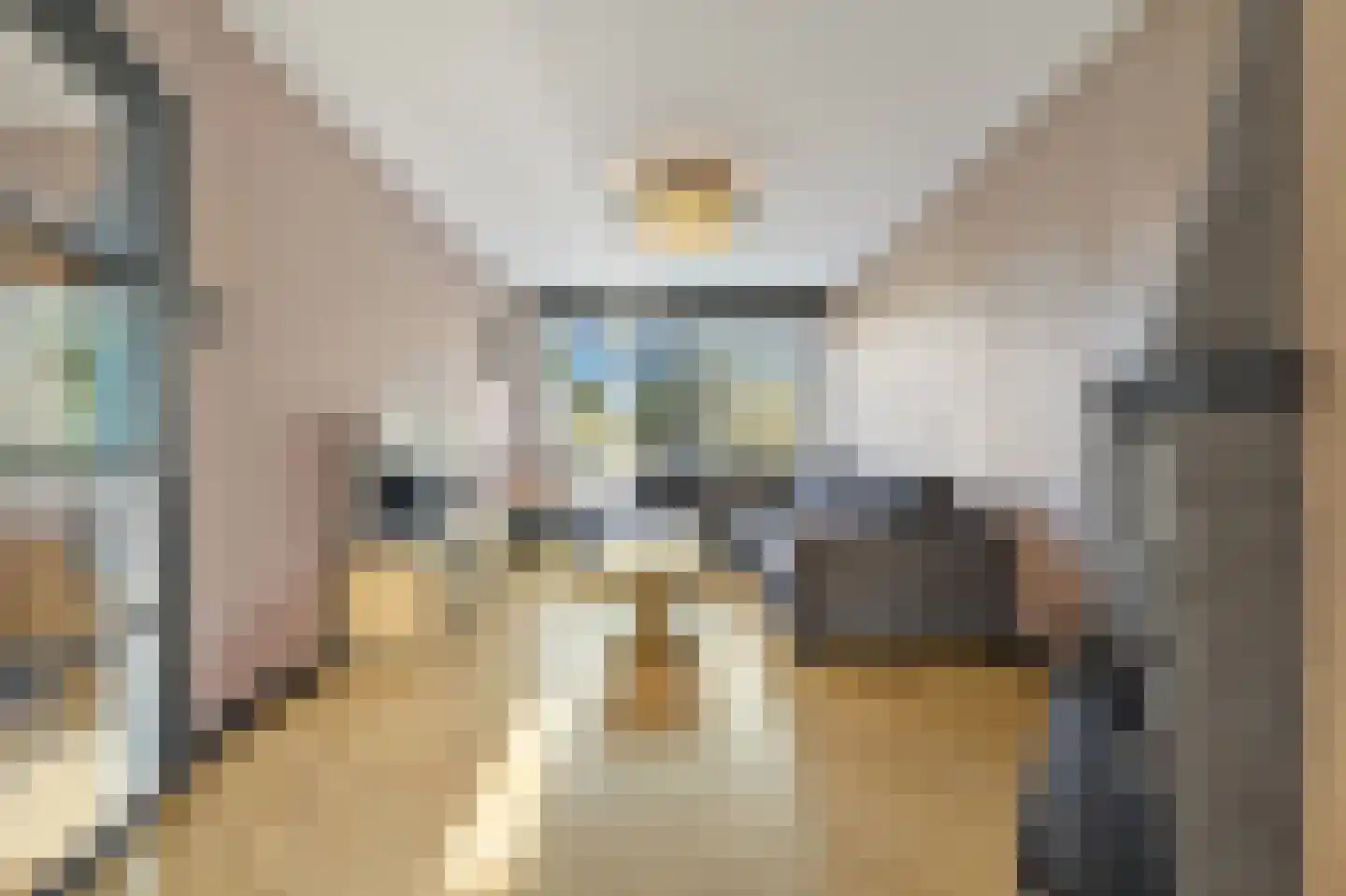 Sinjeur Semeynsweg 5 Den Haag thumbnail 9