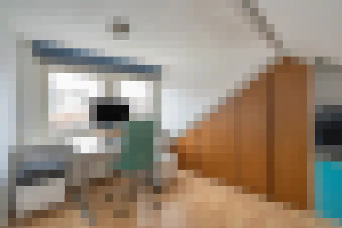 Sinjeur Semeynsweg 65 Den Haag thumbnail 37