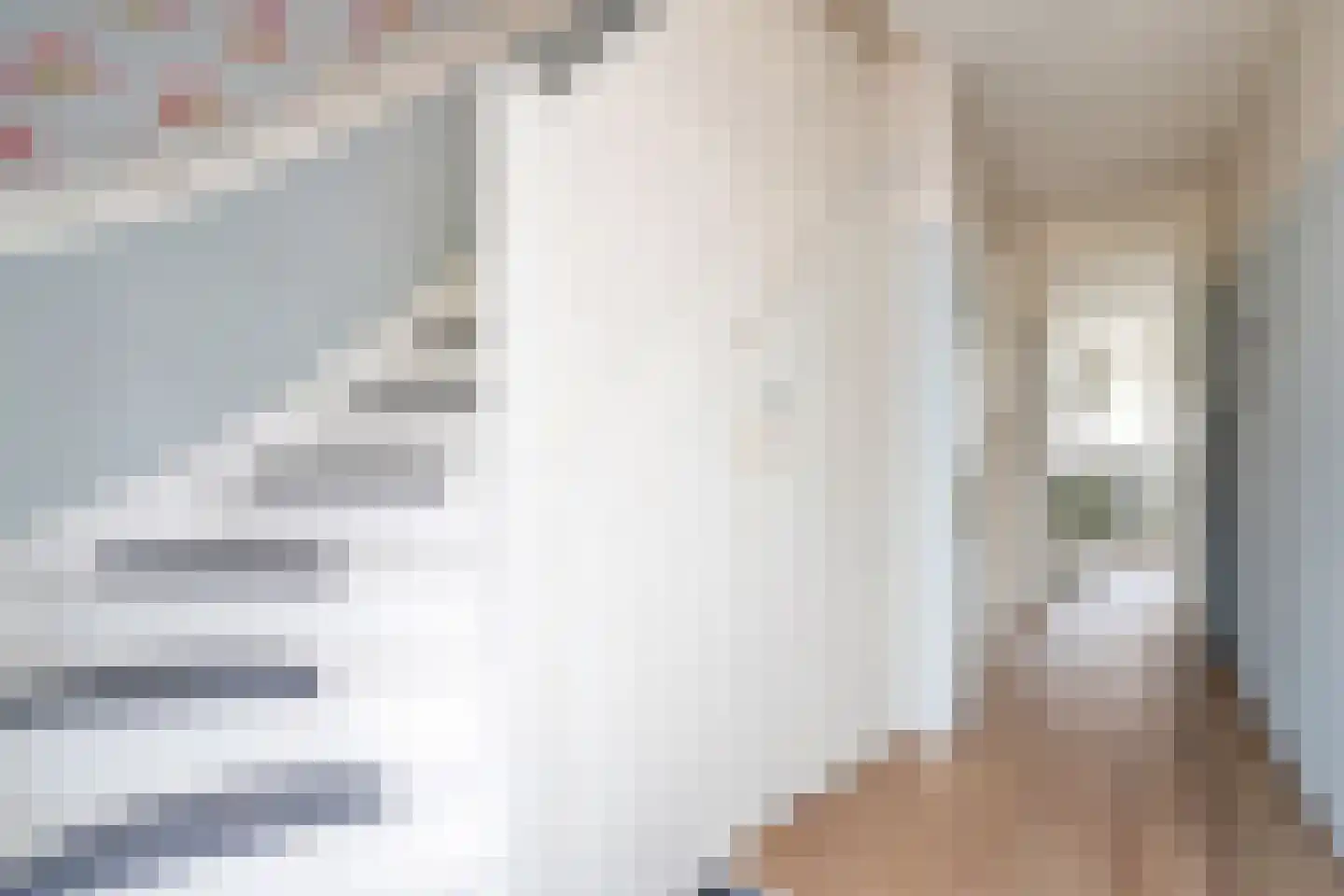 Sinjeur Semeynsweg 65 Den Haag thumbnail 8