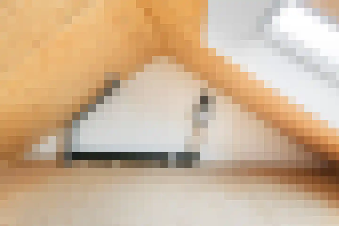 Sinnebuorren 1 A Marrum thumbnail 20