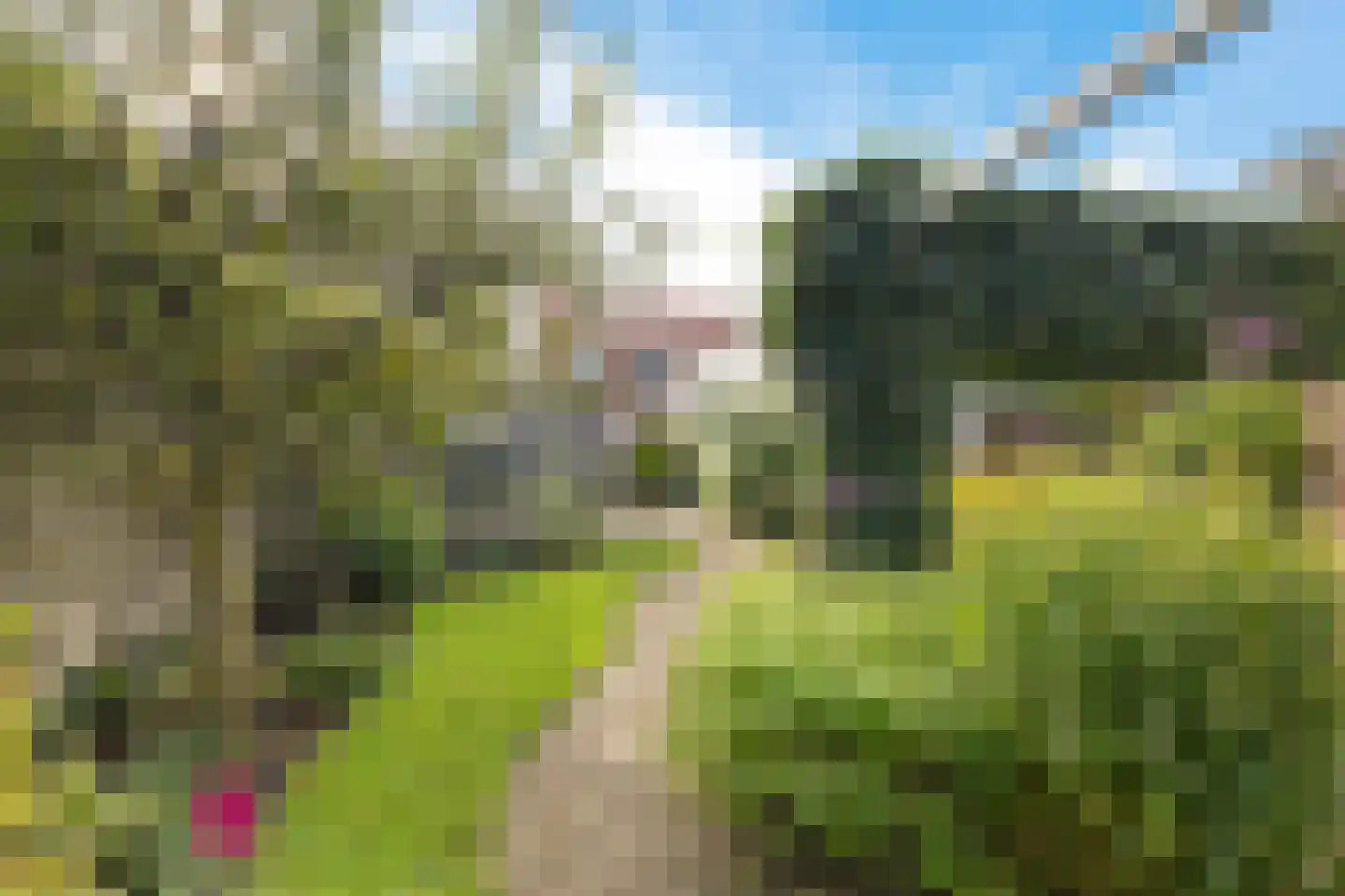 Sinnewar 4 Jutrijp thumbnail 28