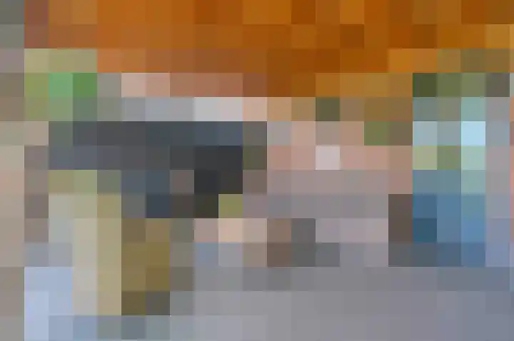 Sinnigeslaantje 14 Veendam thumbnail 37