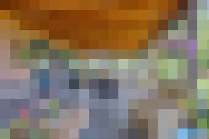 Sinnigeslaantje 14 Veendam thumbnail 38