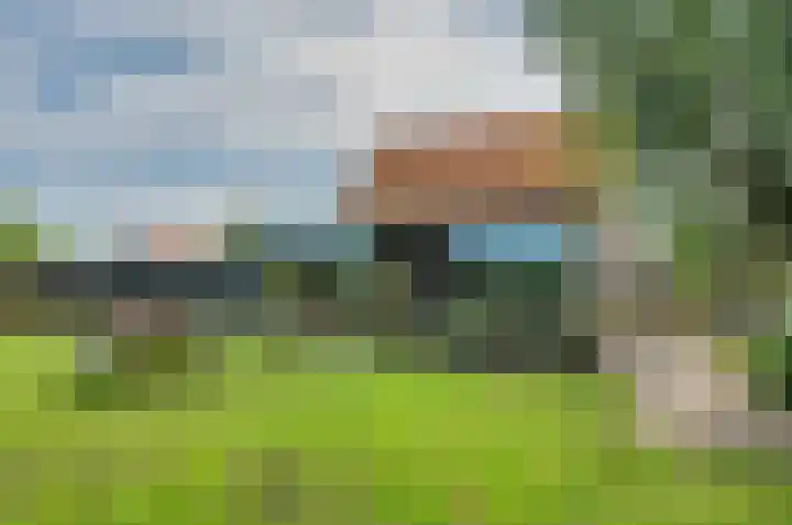Sinnigeslaantje 14 Veendam thumbnail 41