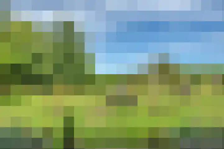 Sinnigeslaantje 14 Veendam thumbnail 42