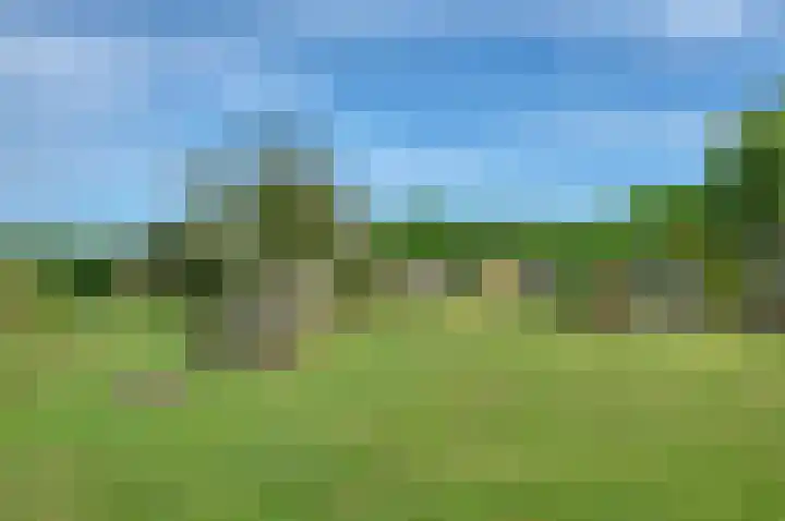 Sinnigeslaantje 14 Veendam thumbnail 43