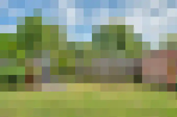 Sinnigeslaantje 14 Veendam thumbnail 46