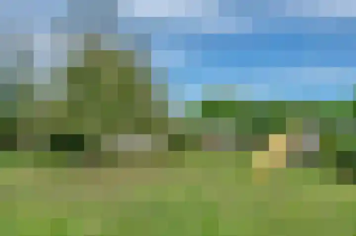 Sinnigeslaantje 14 Veendam thumbnail 47