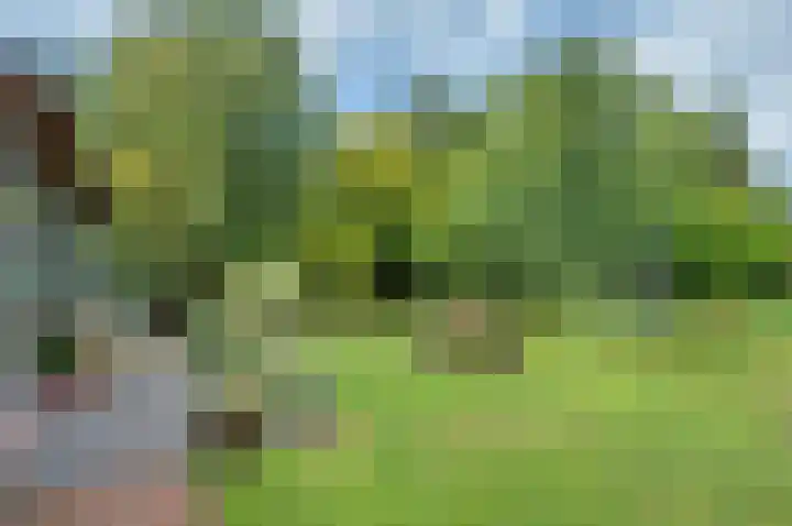 Sinnigeslaantje 14 Veendam thumbnail 50