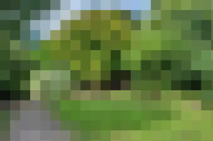 Sinnigeslaantje 14 Veendam thumbnail 51