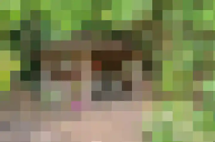 Sinnigeslaantje 14 Veendam thumbnail 55