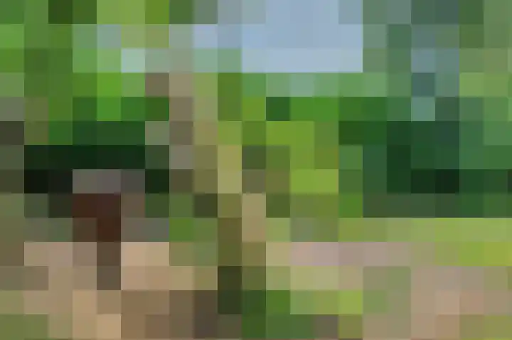 Sinnigeslaantje 14 Veendam thumbnail 57