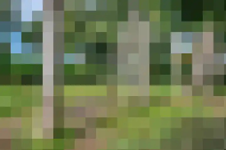 Sinnigeslaantje 14 Veendam thumbnail 58