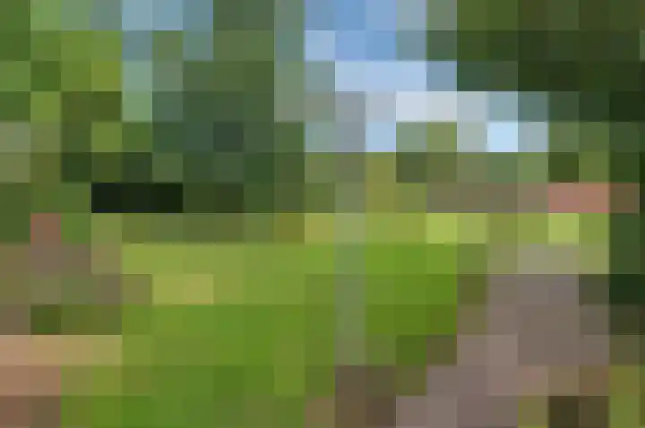Sinnigeslaantje 14 Veendam thumbnail 60