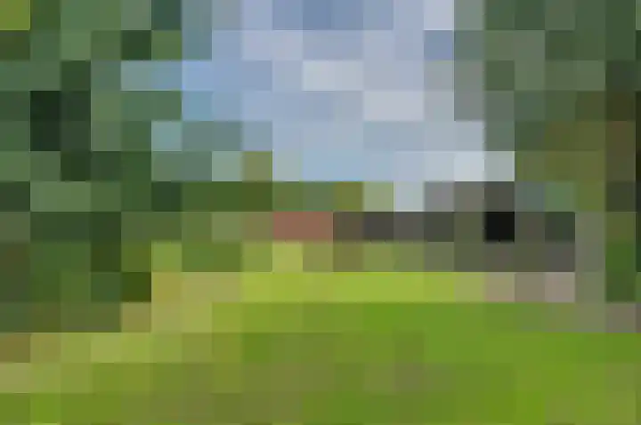 Sinnigeslaantje 14 Veendam thumbnail 61