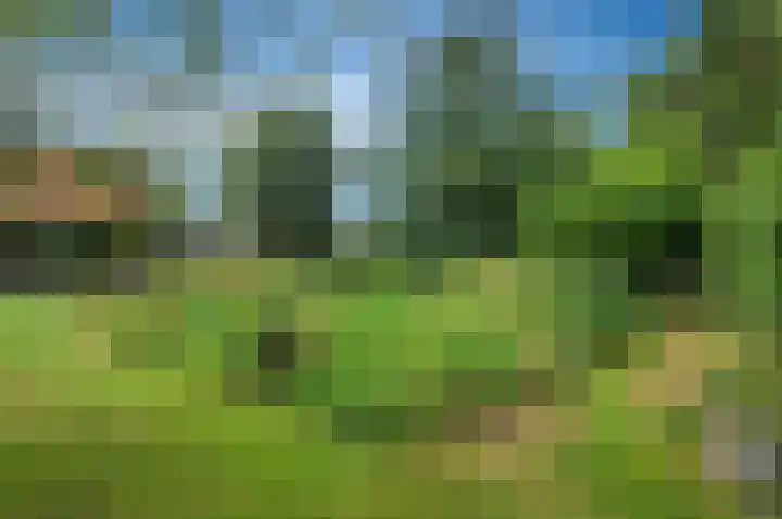 Sinnigeslaantje 14 Veendam thumbnail 62