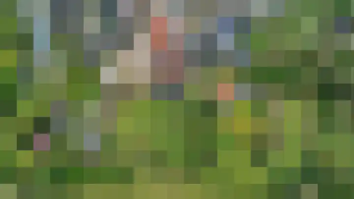Sinnigeslaantje 14 Veendam thumbnail 64