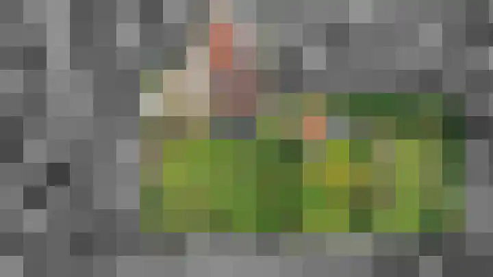 Sinnigeslaantje 14 Veendam thumbnail 65