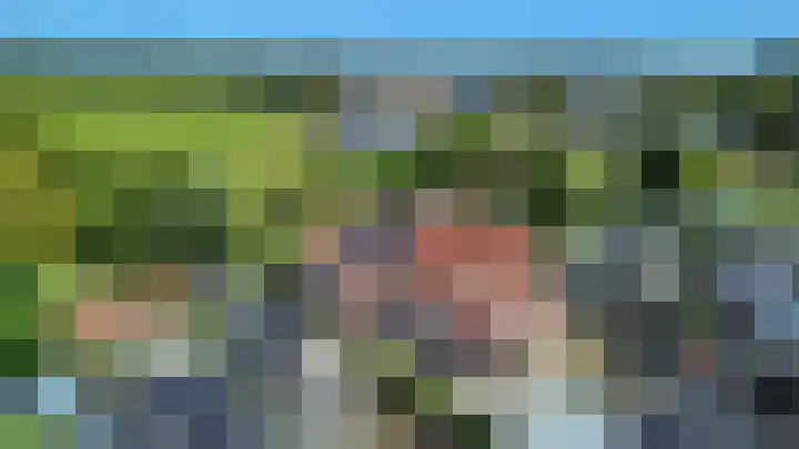 Sinnigeslaantje 14 Veendam thumbnail 66