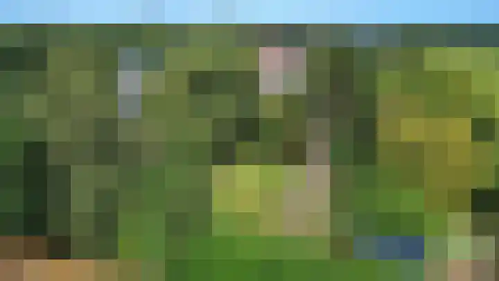 Sinnigeslaantje 14 Veendam thumbnail 68