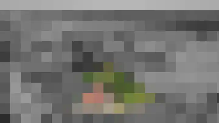 Sinnigeslaantje 14 Veendam thumbnail 75