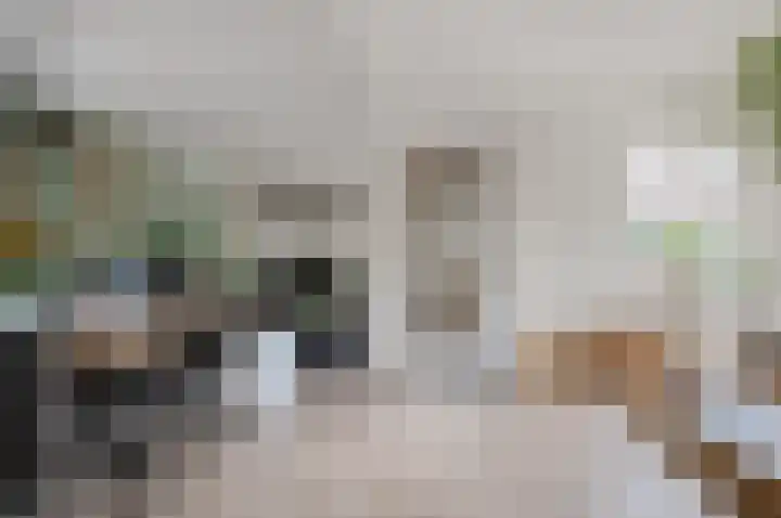 Sinnigeslaantje 14 Veendam thumbnail 8