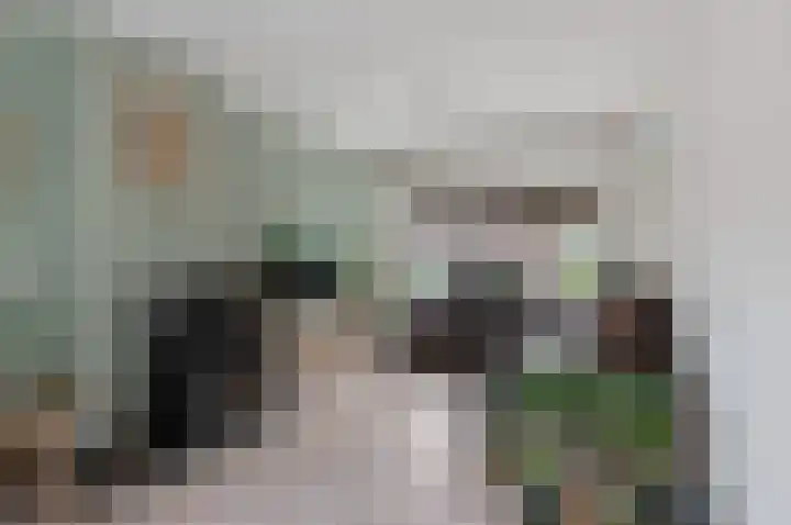 Sinnigeslaantje 14 Veendam thumbnail 9