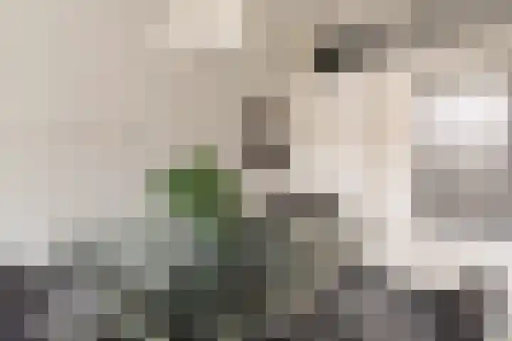 Sinnigvelderstraat 277 Weesp thumbnail 16