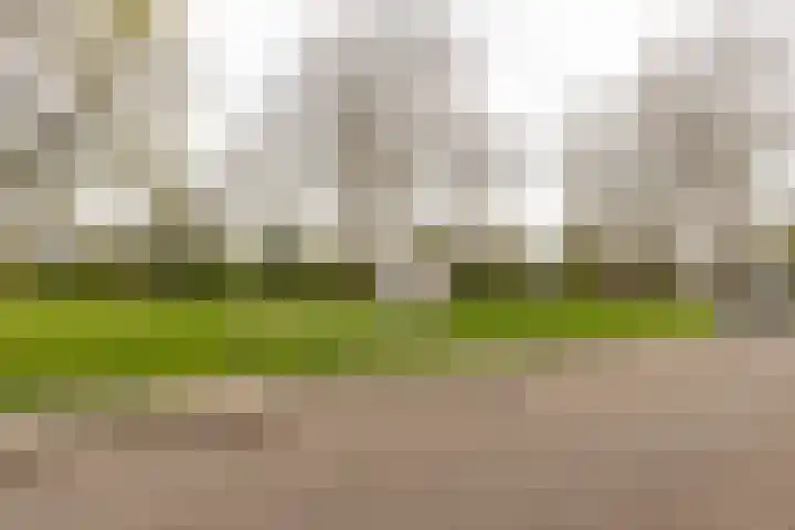 Sinnigvelderstraat 277 Weesp thumbnail 33