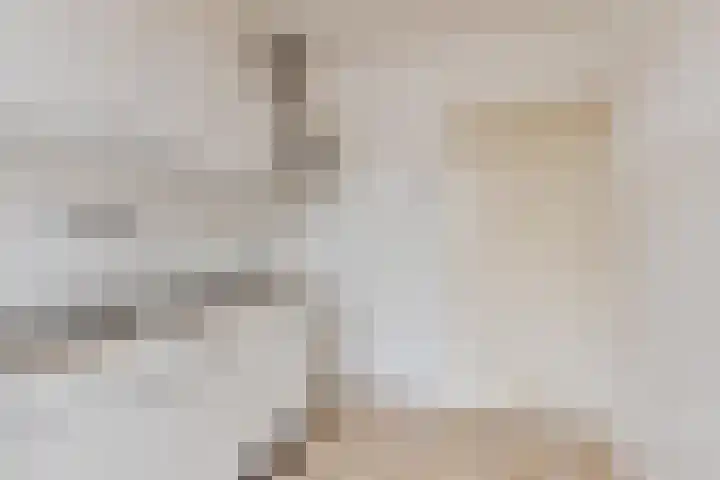 Sinopelstraat 30 Tilburg thumbnail 11