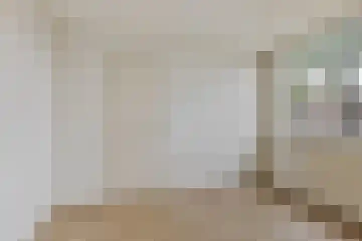 Sinopelstraat 30 Tilburg thumbnail 15