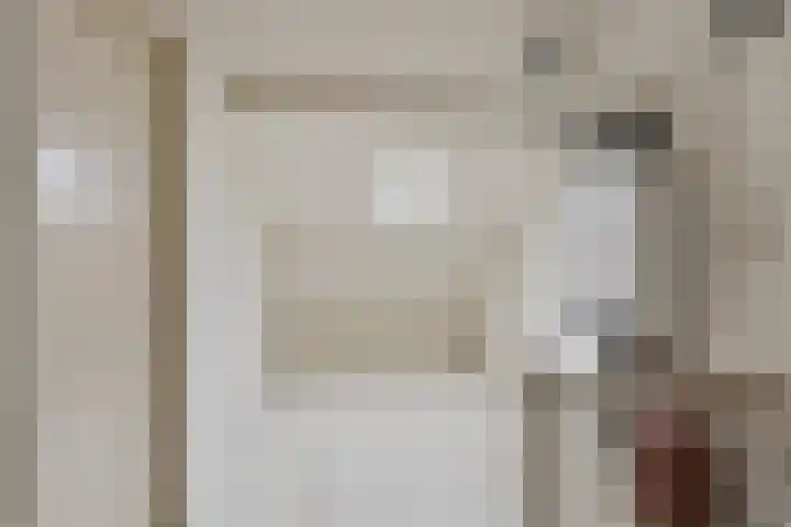 Sinopelstraat 30 Tilburg thumbnail 21