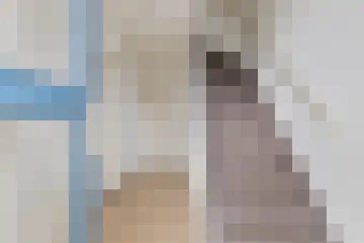 Sinopelstraat 30 Tilburg foto 3